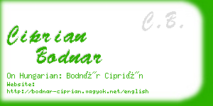 ciprian bodnar business card